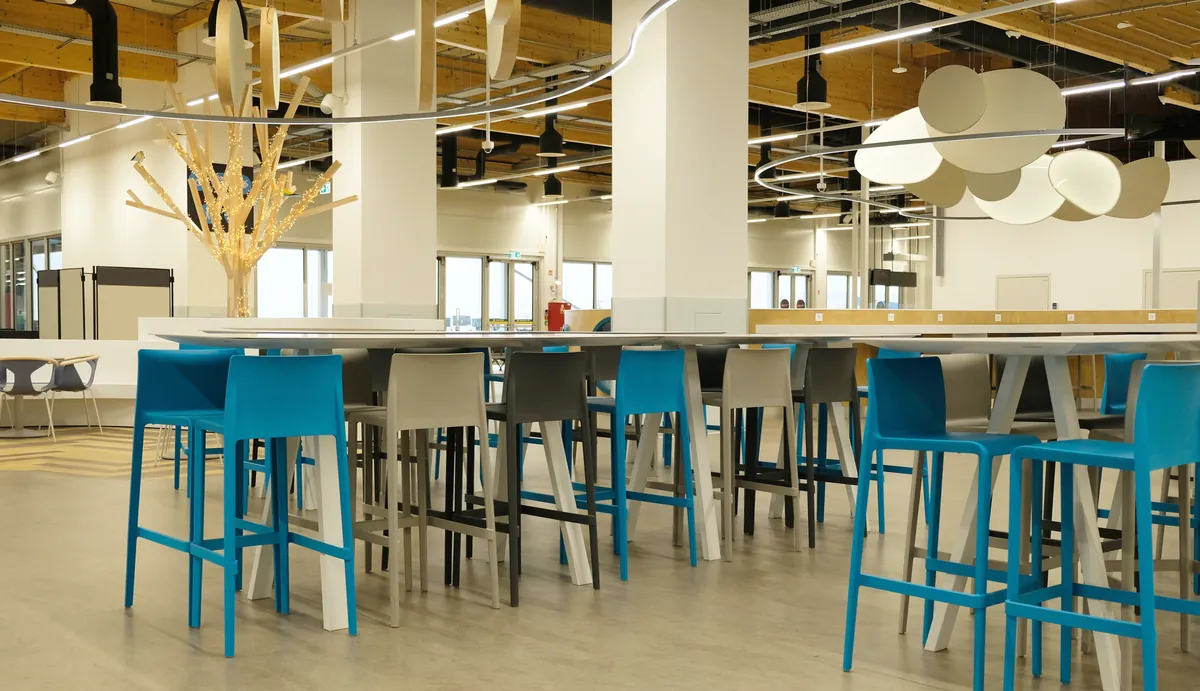 Finished commercial interior with painted walls and ceiling throughout.